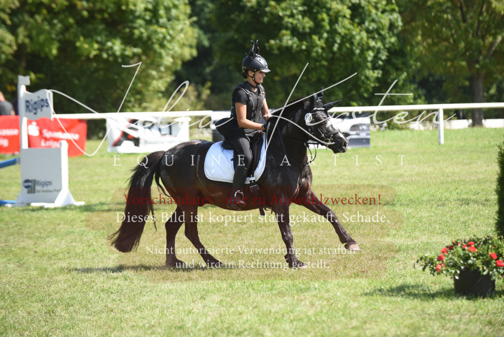 DSC_0356 | Pferde- und Turnierfotografie in Westsachsen. Pferdeportraits, Auftragszeichnungen und intuitive Kunst.