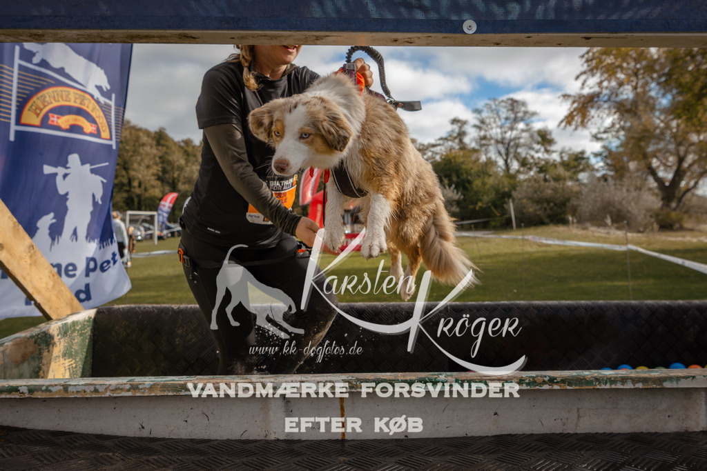 1335_ZZ91498-2 | kk-dogfotos