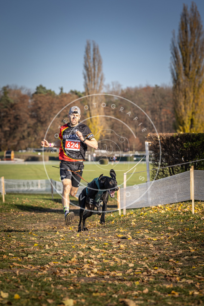 CaniXpix_DV3A9973 | Hundefotografie, Tierfotograf, Pfotenfotografie, Fotoshooting Hund, Hunde Portrait, Hundesport, Hundeportraits, Heideshooting, Hunde, Sportfotograf, Hundefotograf, Turnierhundsport, THS,  - Realisiert mit Pictrs.com