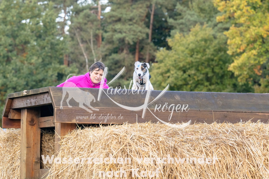 0857_ZZ91865-Bearbeitet | kk-dogfotos