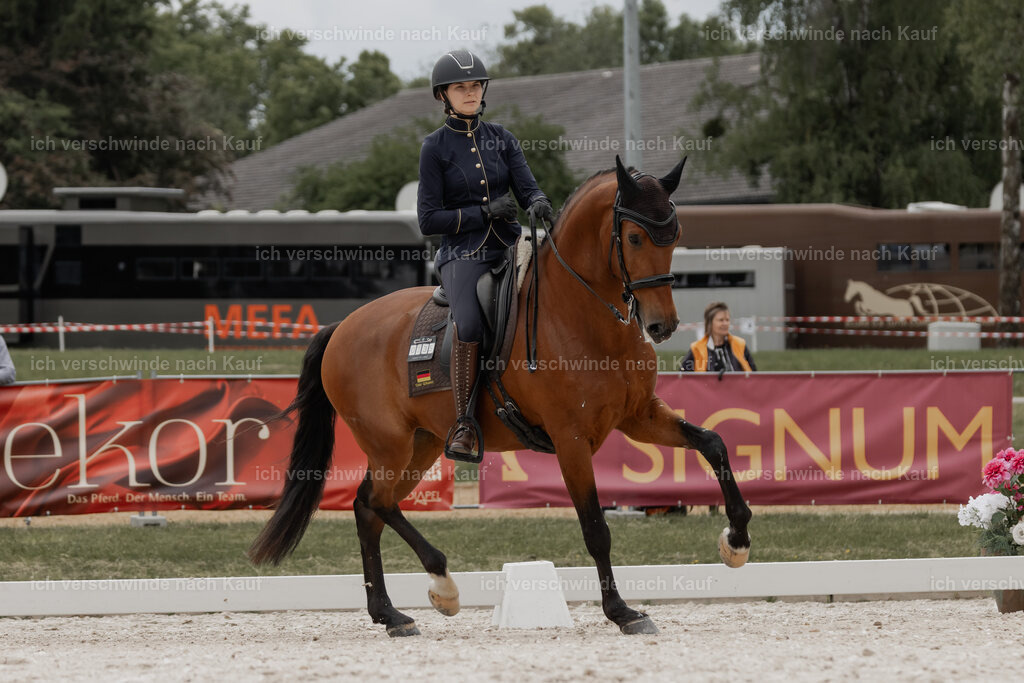 WE_DR_Stoib_335_PI2025_395 | Pferd International München 2025