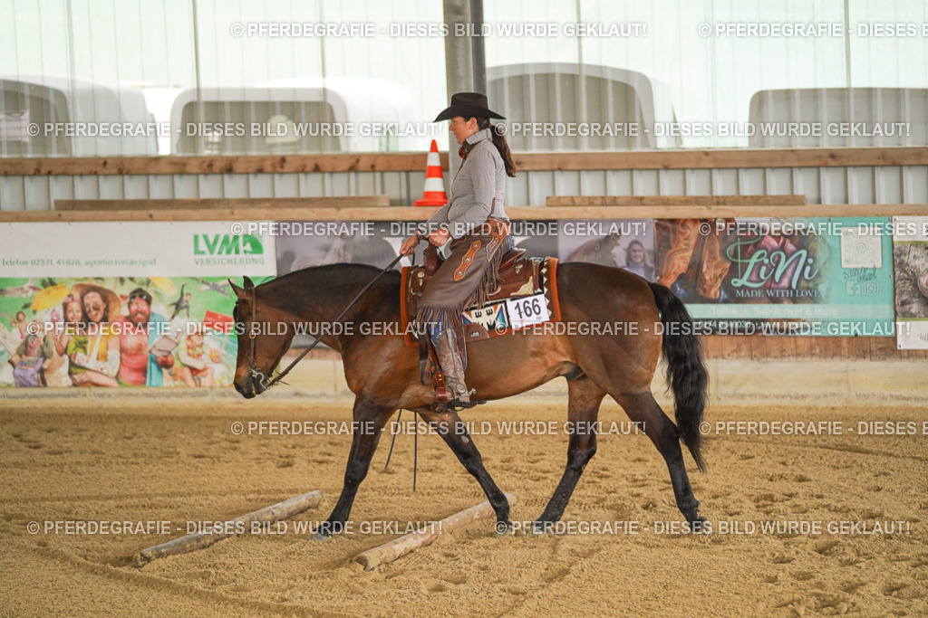 DSC04676 | Pferdegrafie