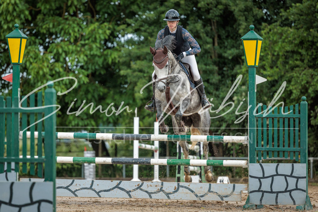 20260530-_3LI2307 | Tierfotografie Pferde, Hunde, Katzen, Haustiere.
Turnierfotografie Reitturniere, Reiten, Springreiten, Dressur in Hanau, dem Main-Kinzig-Kreis und dem Rhein-Main- Gebiet um Frankfurt