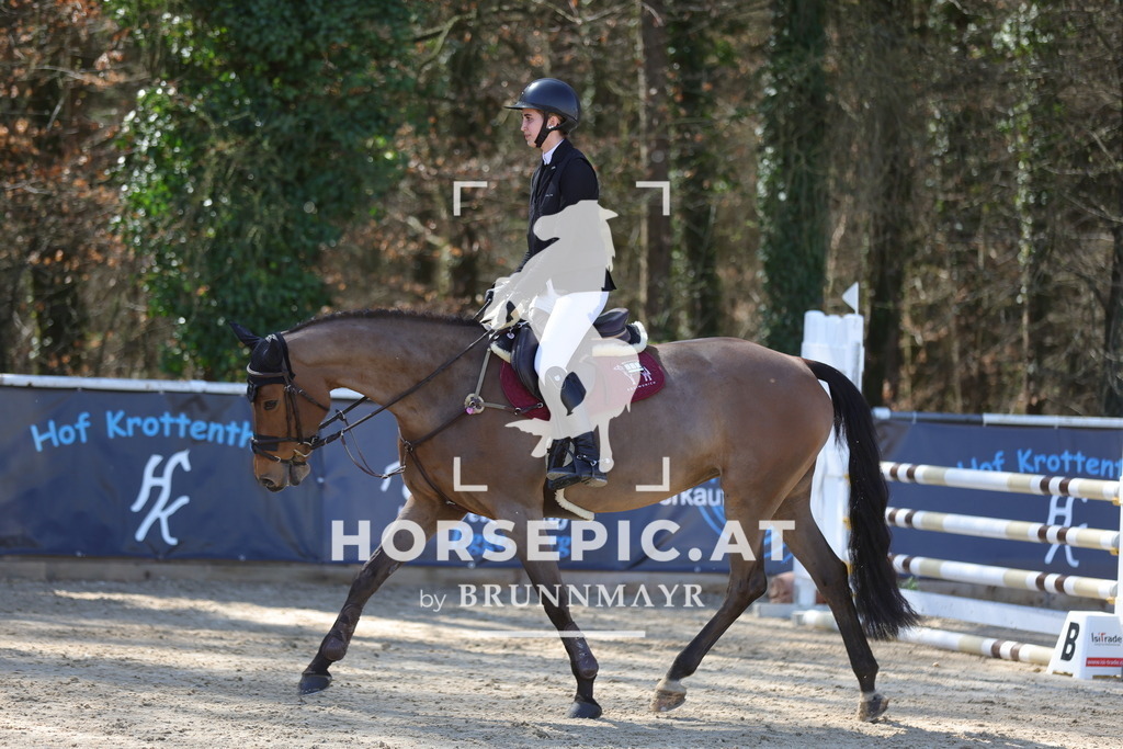 0P6A8005 | Willkommen bei Brunnmayr - Design & Fotografie – Ihrem Spezialisten für Reitturniere und Pferdeveranstaltungen in Oberösterreich, Salzburg und Bayern! Seit über 17 Jahren sind wir leidenschaftlich dabei.
