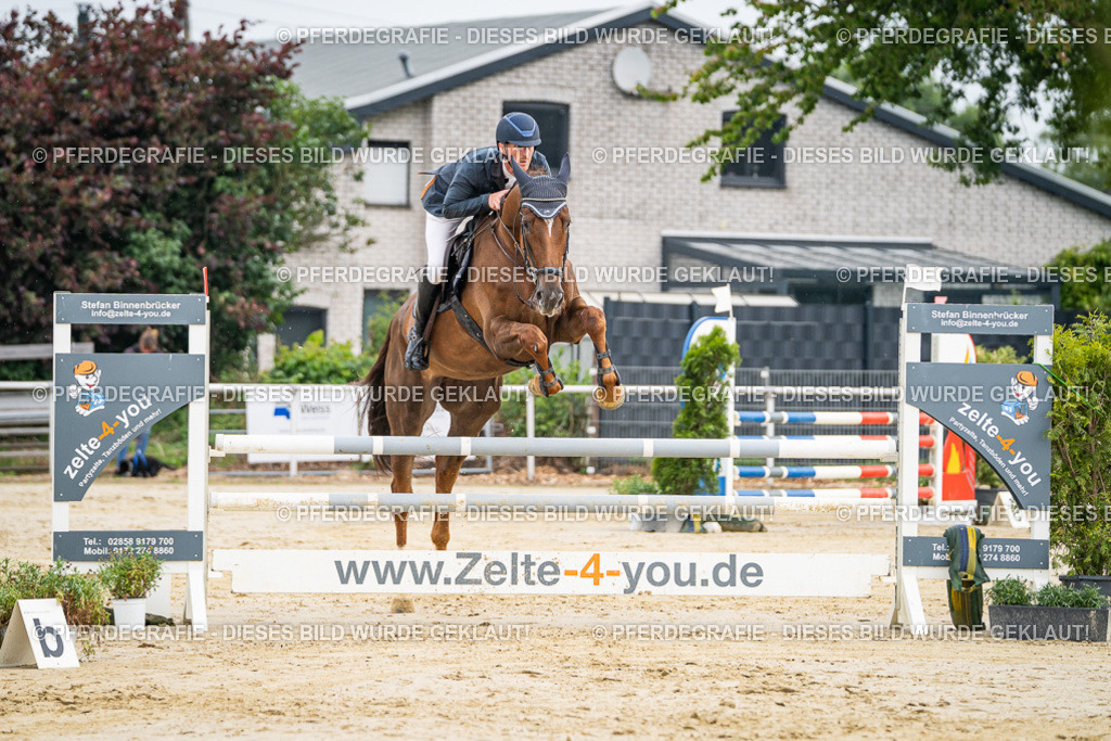 DSC09339 | Pferdegrafie