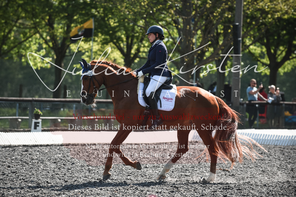 DSC_8872 | Pferde- und Turnierfotografie in Westsachsen. Pferdeportraits, Auftragszeichnungen und intuitive Kunst.