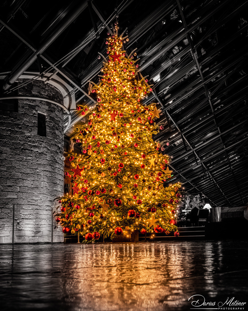Weihnachtsbaum im Mainzer Hyatt | Weihnachtsbaum im Mainzer Hyatt
