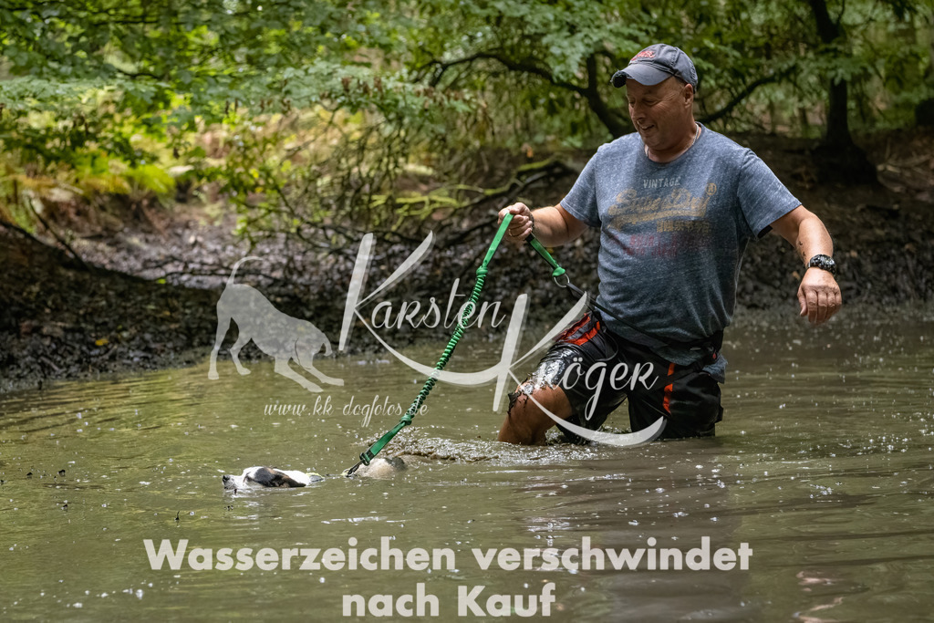 1110_ZZ90111-Bearbeitet-2 | kk-dogfotos