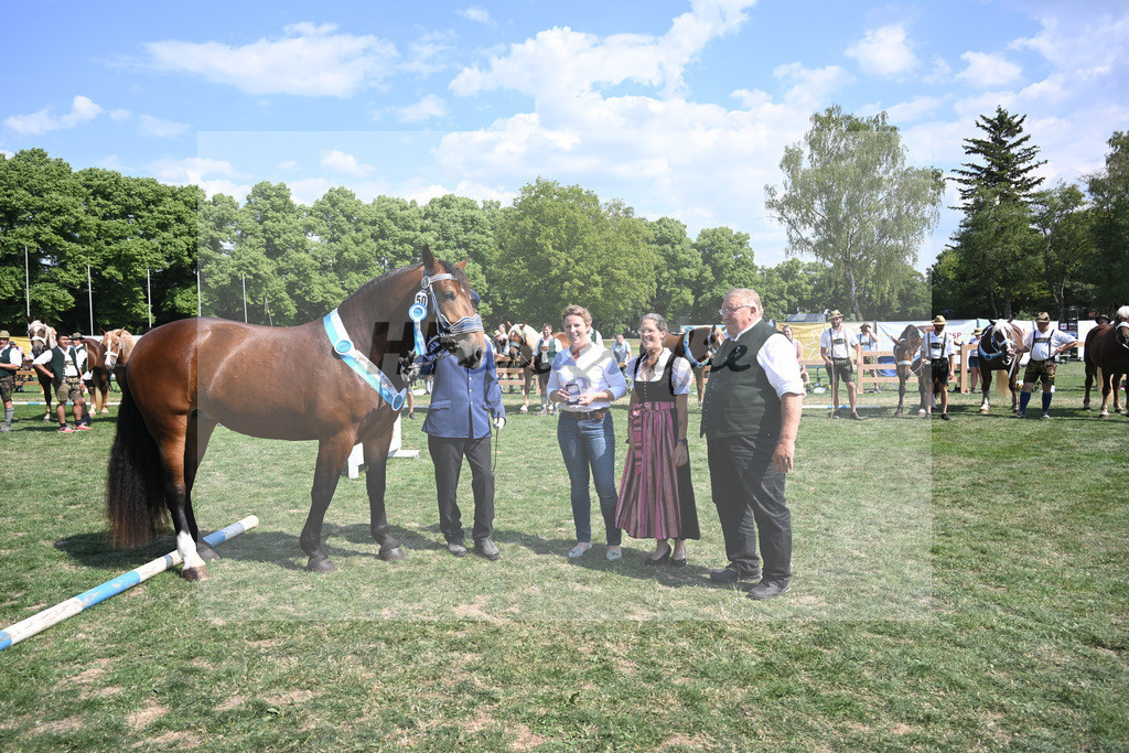 Kat-Nr. 50 Nockerl_HLG Schwaiganger_20231257 | hf-fotografie - Realisiert mit Pictrs.com