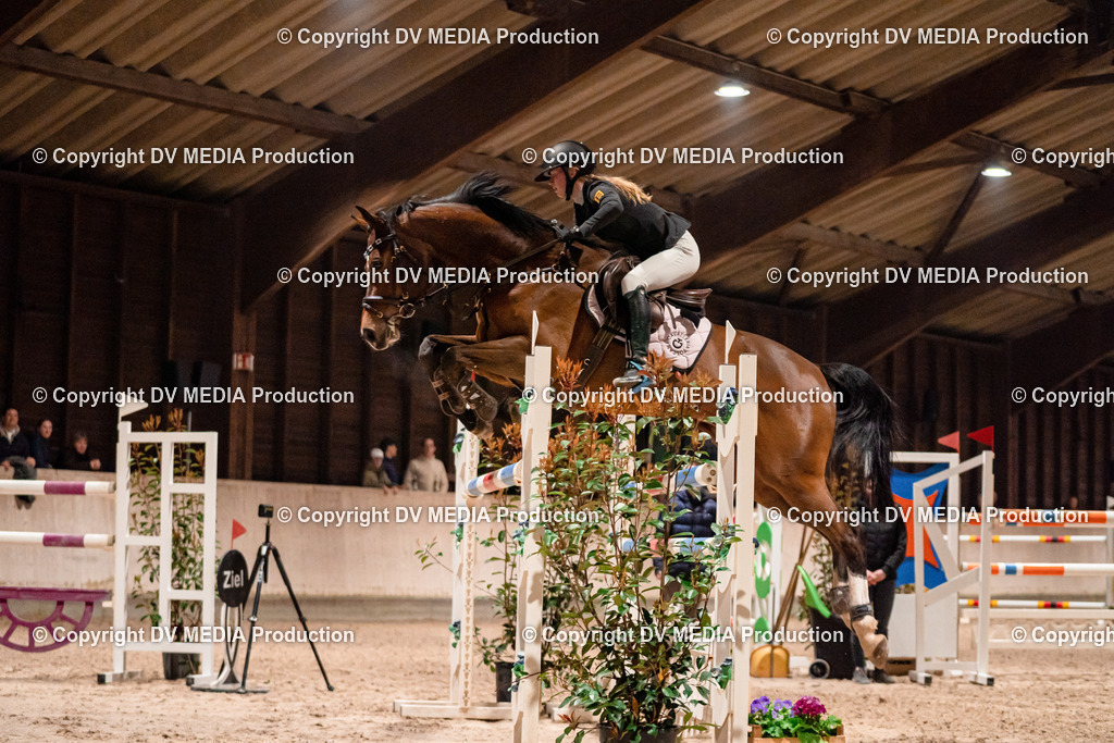 Springen Tag 2-949 | dv-media-shop - Realisiert mit Pictrs.com