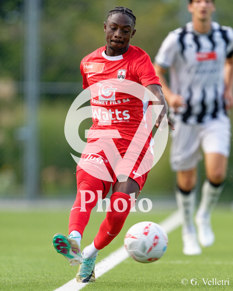 DSC_6967 | Velletri Photo