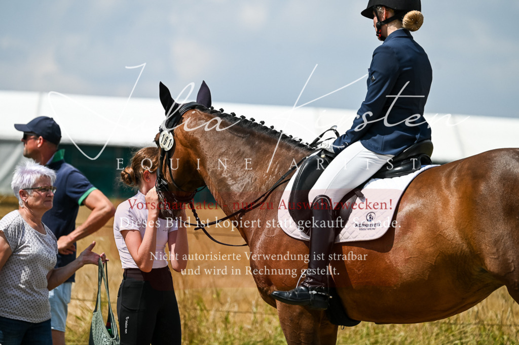 DSC_2707 | Pferde- und Turnierfotografie in Westsachsen. Pferdeportraits, Auftragszeichnungen und intuitive Kunst.
