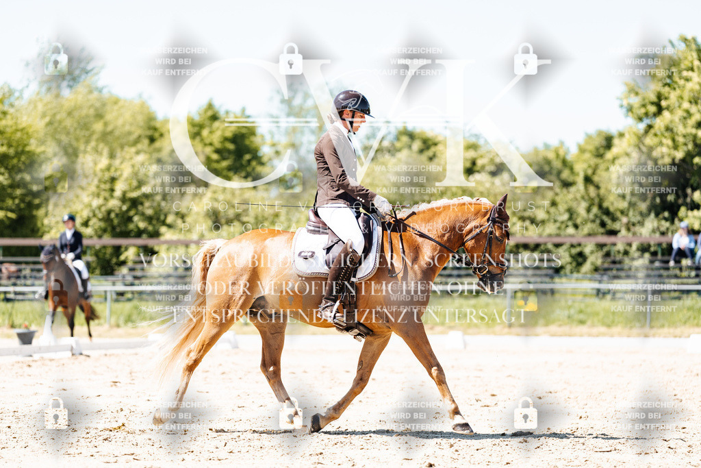 CK905527 | Turnierfotografie Pferdefotografie Trier Rheinland-Pfalz Pferdesport Reitsport Tierfotografie Sportfotografie Pferdevideo Pferdevideografie Equestrianvideography equestrianphotography  - Realisiert mit Pictrs.com
