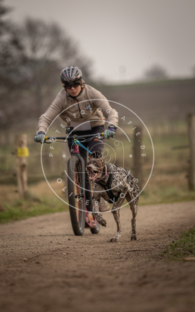 Pfotenfotografie_DV3A3948 | Hundefotografie, Tierfotograf, Pfotenfotografie, Fotoshooting Hund, Hunde Portrait, Hundesport, Hundeportraits, Heideshooting, Hunde, Sportfotograf, Hundefotograf, Turnierhundsport, THS,  - Realisiert mit Pictrs.com