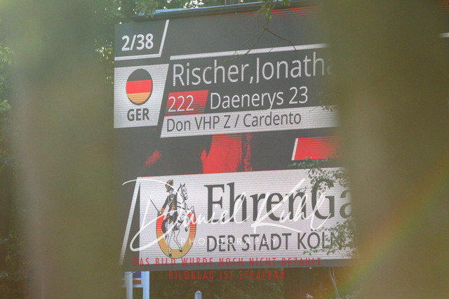 DKP42673 | Turniersportfotografie; Pferdefotografie; Dressurfotografie