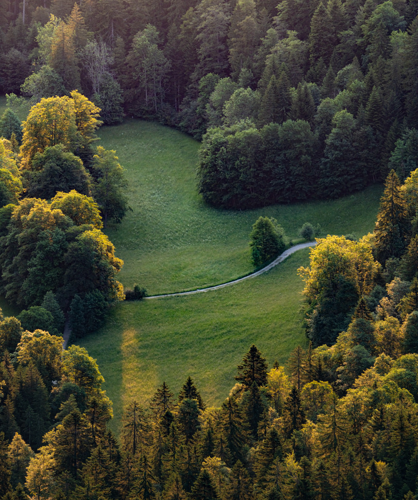 Sonnenlicht streift Baumkronen | In der Areuse-Schlucht im schweizer Juragebirge finden sich unendlich viele Fotomotive. Hier küsst die aufgehende Sonne die Baumspitzen und rahmt den Wald wundervoll in das erste Licht des Tages. - Realisiert mit Pictrs.com