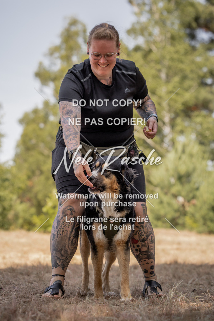 nelerasche_soDD2_259 | nelerasche