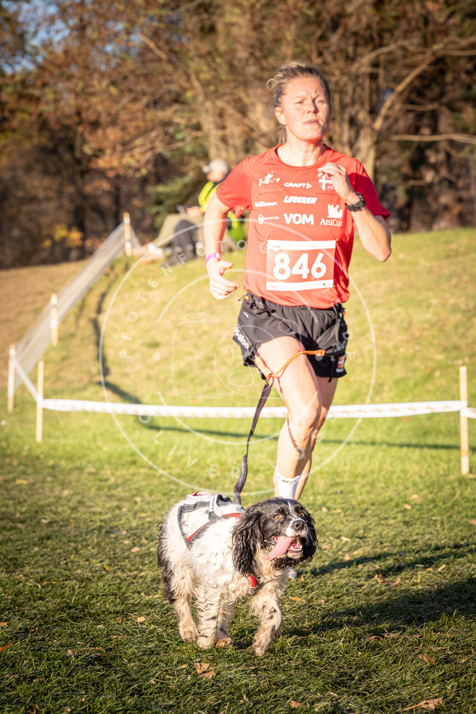 CaniXpix_0L8A0840 | Hundefotografie, Tierfotograf, Pfotenfotografie, Fotoshooting Hund, Hunde Portrait, Hundesport, Hundeportraits, Heideshooting, Hunde, Sportfotograf, Hundefotograf, Turnierhundsport, THS,  - Realisiert mit Pictrs.com