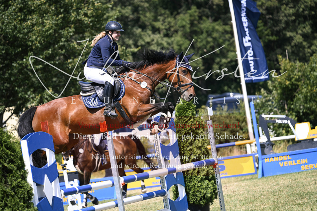 DSC_0255 | Pferde- und Turnierfotografie in Westsachsen. Pferdeportraits, Auftragszeichnungen und intuitive Kunst.