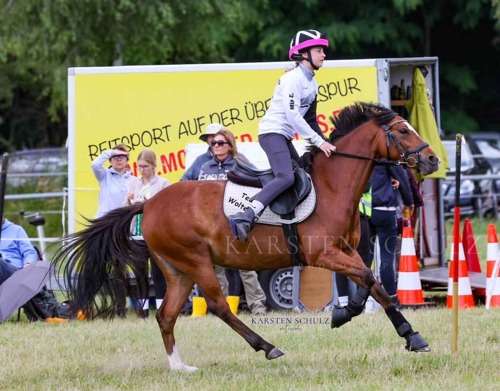 1B3A0706 | Reitsport Reiten