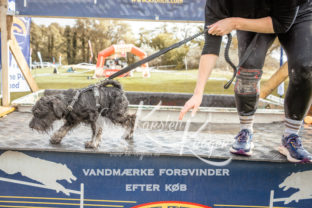 1346_ZZ92180-2 | kk-dogfotos
