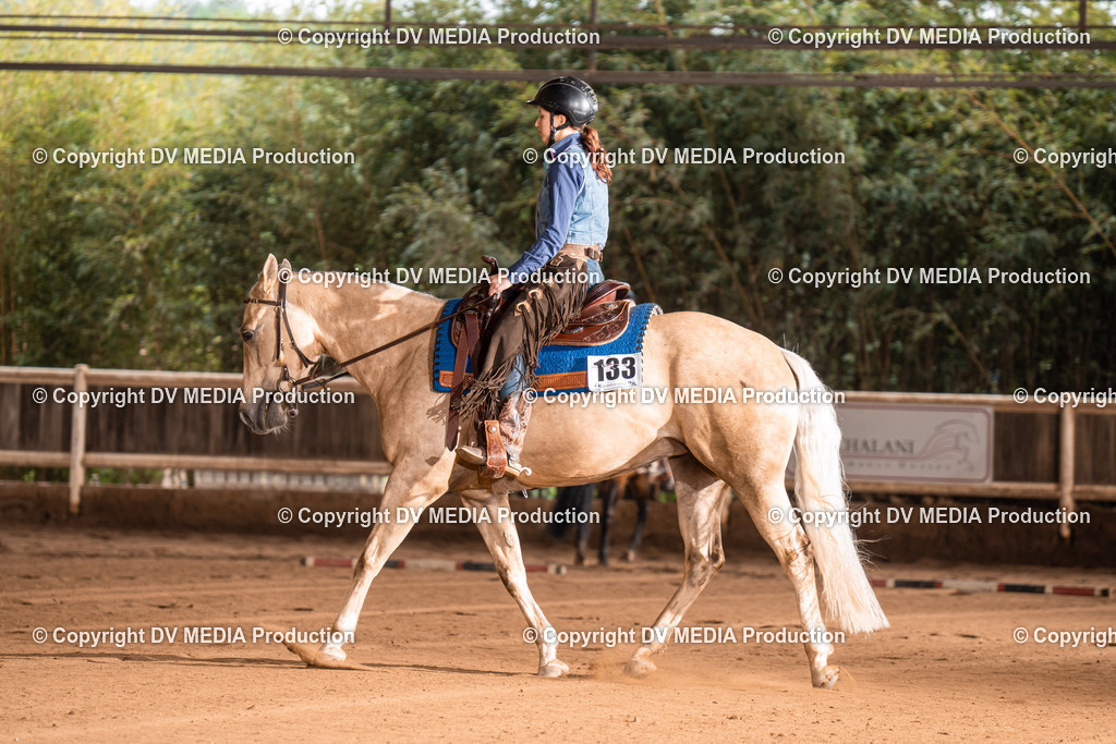 Erbach Tag 4-749 | dv-media-shop - Realisiert mit Pictrs.com