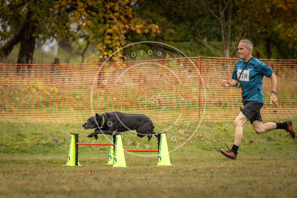 Pfotenfotografie_DV3A2797 | Hundefotografie, Tierfotograf, Pfotenfotografie, Fotoshooting Hund, Hunde Portrait, Hundesport, Hundeportraits, Heideshooting, Hunde, Sportfotograf, Hundefotograf, Turnierhundsport, THS,  - Realisiert mit Pictrs.com