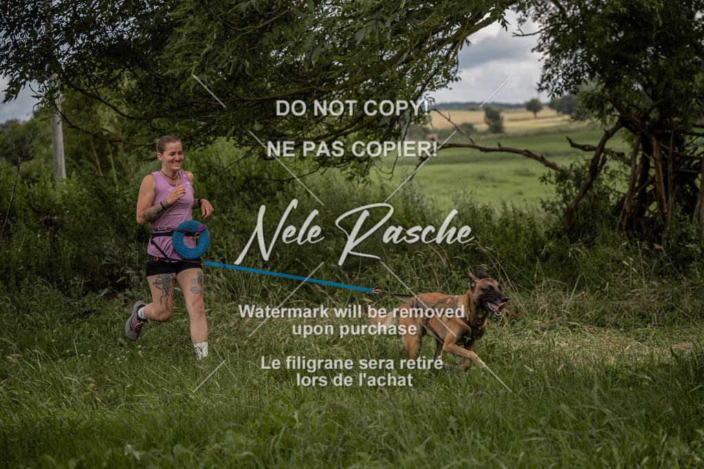 nelerasche_DoN_132 | nelerasche