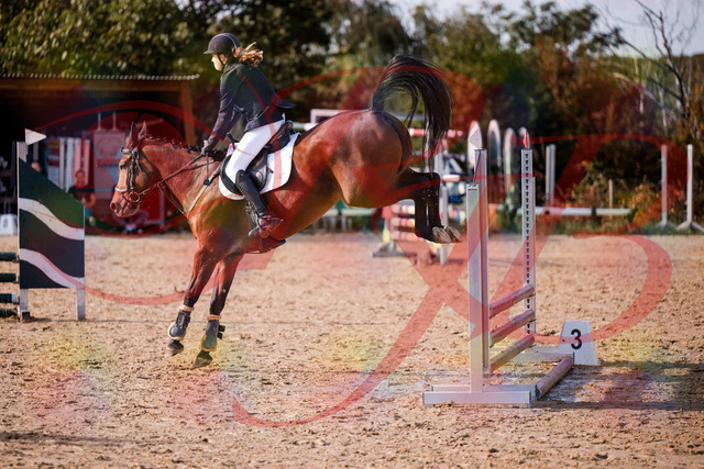 2026_10_03_Siefer-Hof_161028_Z81_90013067 | Professionelle Reitsport-, Turnier- und Eventfotografie von Robert Broda. Galerien mit ausgewählten und bearbeiteten Bildern direkt online ansehen und bestellen.