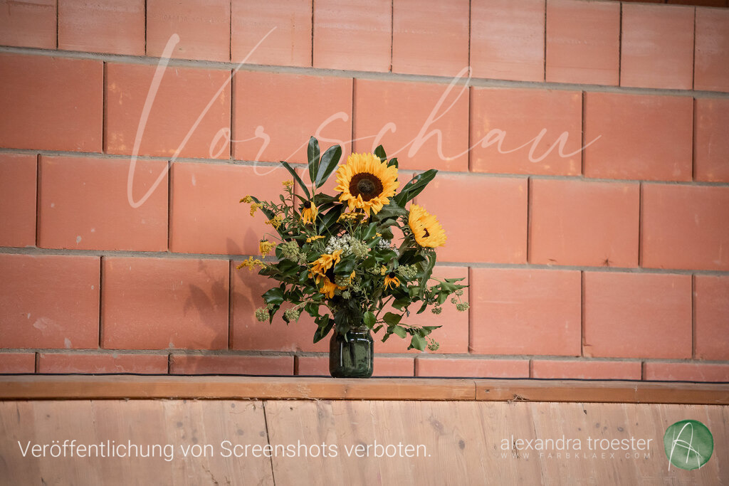 250913_Barop_11_226 | farbklaex.com