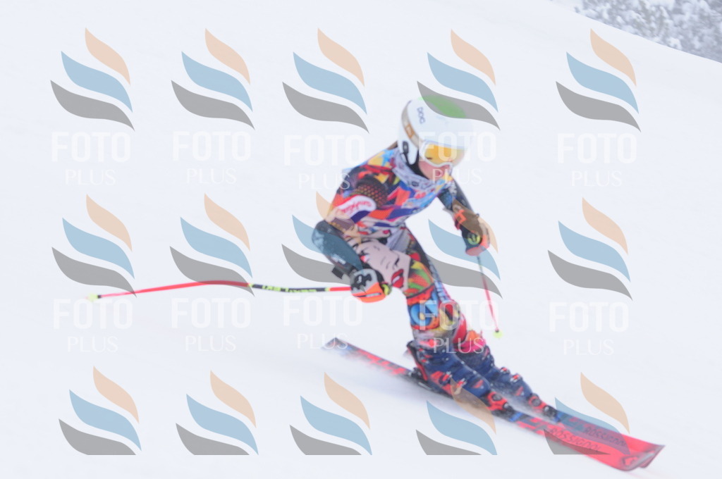 C3475 | holidayphoto