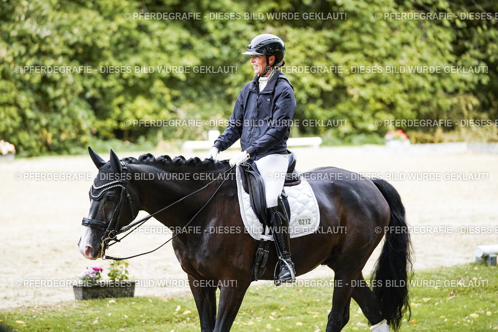 DSC05185 | Pferdegrafie