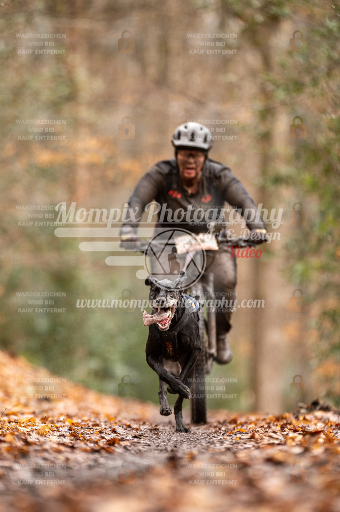 SPA_2023_DIM_Bike-41 | PayLife