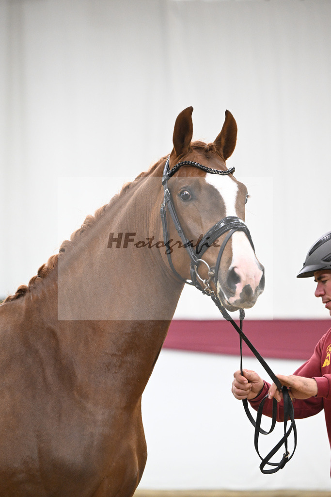 Kat-Nr. 115 Secret x Fidermark_Frieder Heilemann_47254351 | hf-fotografie - Realisiert mit Pictrs.com