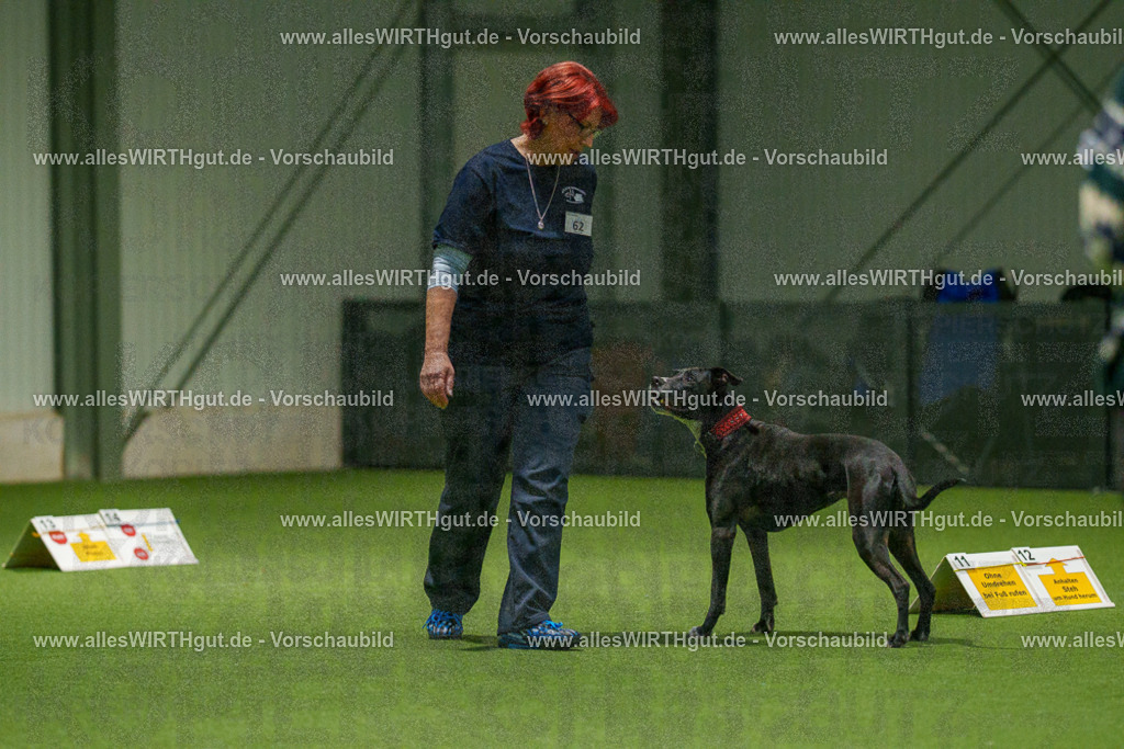 7R507386 | Professionelle Tierfotografie in Mönchengladbach von Daniel Wirth (allesWIRTHgut). Liebevolle & natürliche Bilder von Hunden & Katzen für unvergessliche Erinnerungen.