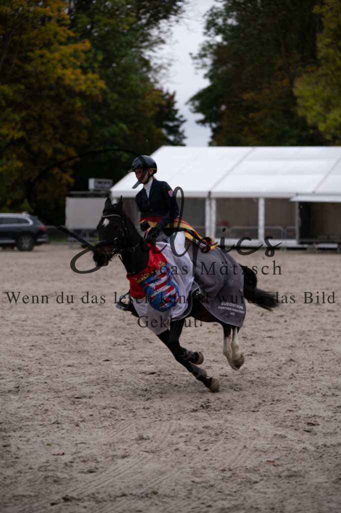 A7V01467 | Pferdefotograf