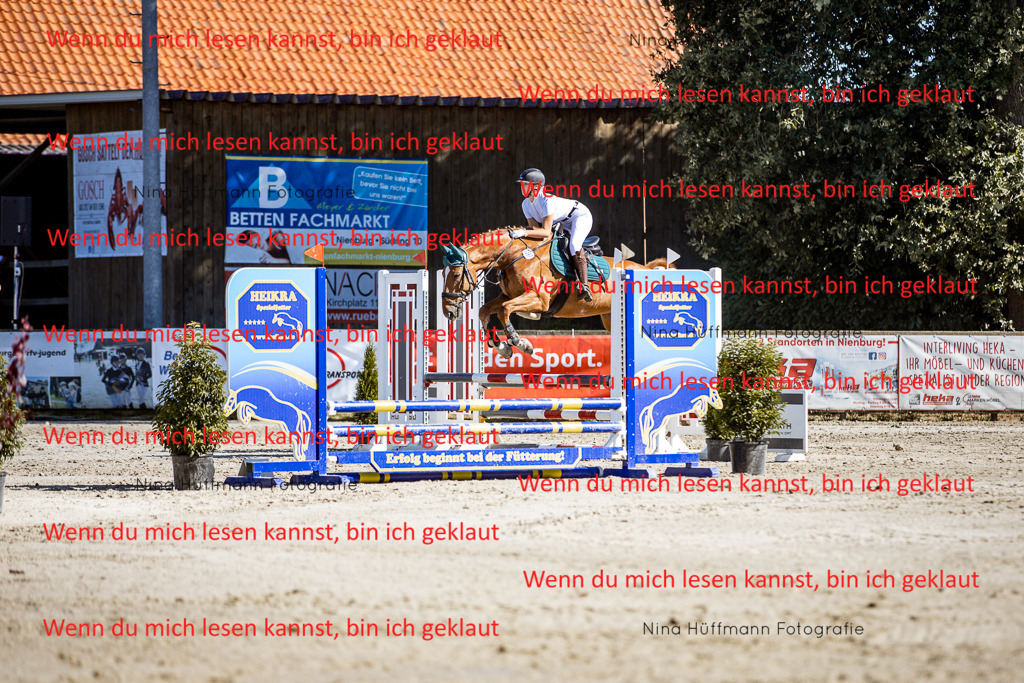 BK1A7985 | Turnierbilder Turnierfotos Nina Hüffmann Turnierfotografie Pferdefotografie Tierzeichnung Haustierzeichnung Pferdezeichnung Hundezeichnung Videograf  - Realisiert mit Pictrs.com