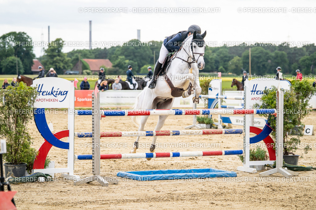 DSC06480 | Pferdegrafie