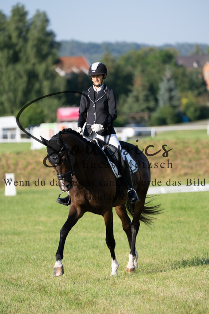 A7V09224 | Pferdefotograf