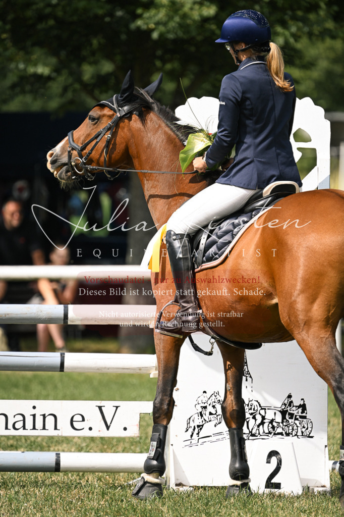 DSC_0690 | Pferde- und Turnierfotografie in Westsachsen. Pferdeportraits, Auftragszeichnungen und intuitive Kunst.