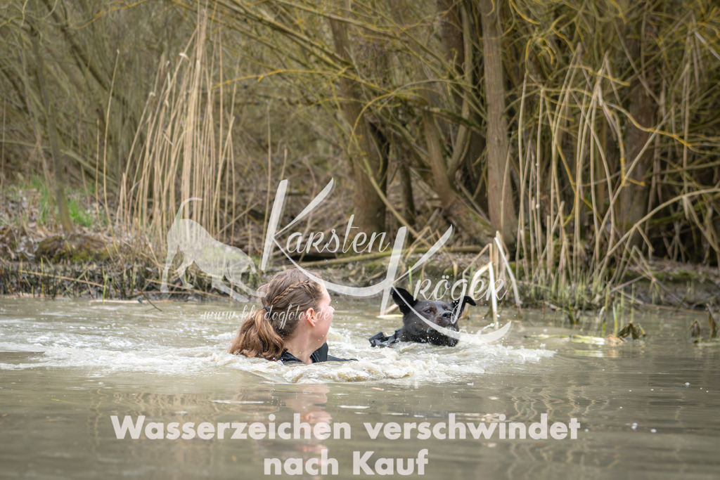 1346_ZZ92584 | kk-dogfotos