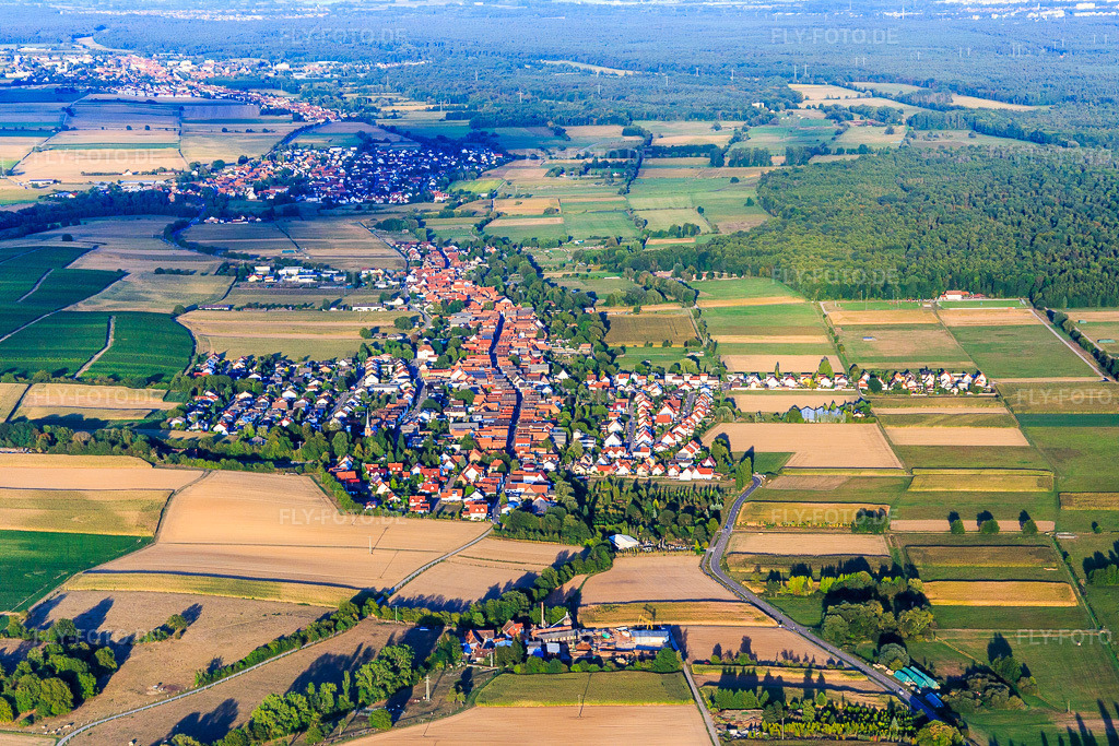 Luftbild: Ortsansicht aus Westen zwischen Viehstrich und Bienwald in Freckenfeld im Bundesland Rheinland-Pfalz in Deutschland. Foto: IMG_117451.jpg vom 06.09.2019 durch Werner Riehm/FLY-FOTO.de