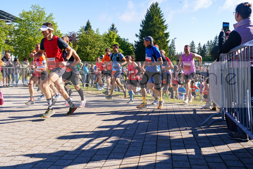 Rennsteiglauf Marathon 2025 | Marathon von Neuhaus/Rwg. nach Schmiedefeld/Rstg. am 17. Mai 2025