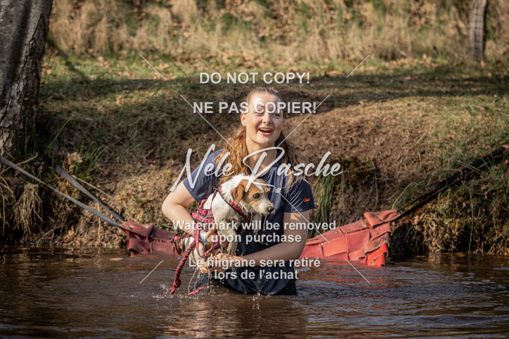 nelerasche_FS1330-1400_247 | nelerasche