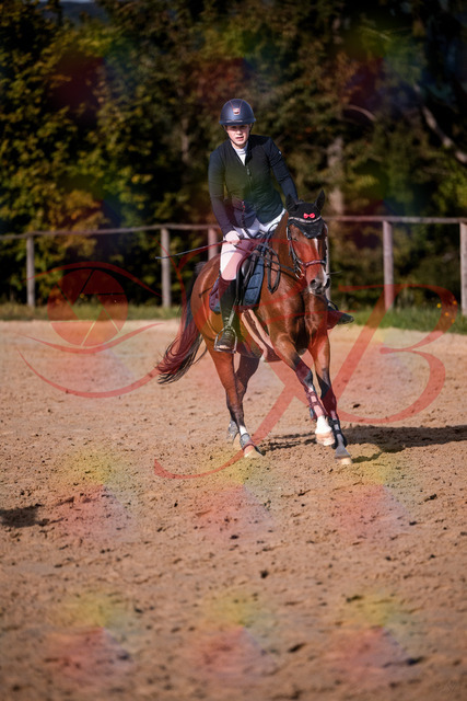 2026_10_03_Siefer-Hof_155405_Z81_74131479 | Professionelle Reitsport-, Turnier- und Eventfotografie von Robert Broda. Galerien mit ausgewählten und bearbeiteten Bildern direkt online ansehen und bestellen.