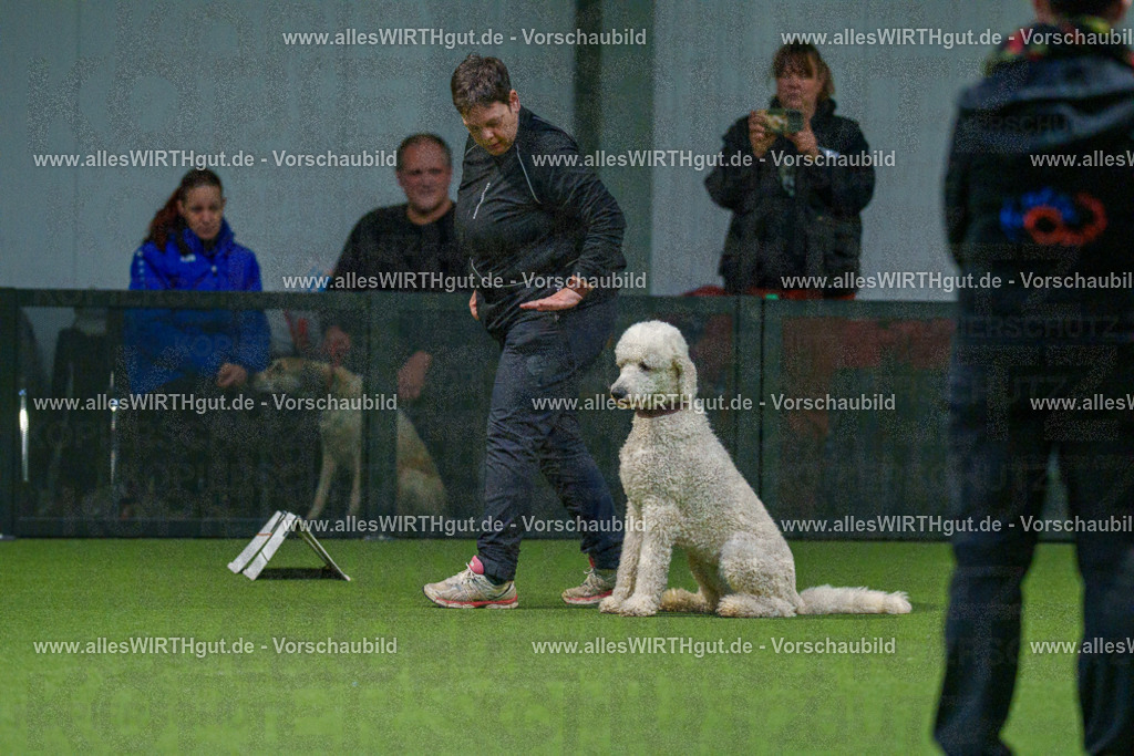 7R505543 | Professionelle Tierfotografie in Mönchengladbach von Daniel Wirth (allesWIRTHgut). Liebevolle & natürliche Bilder von Hunden & Katzen für unvergessliche Erinnerungen.