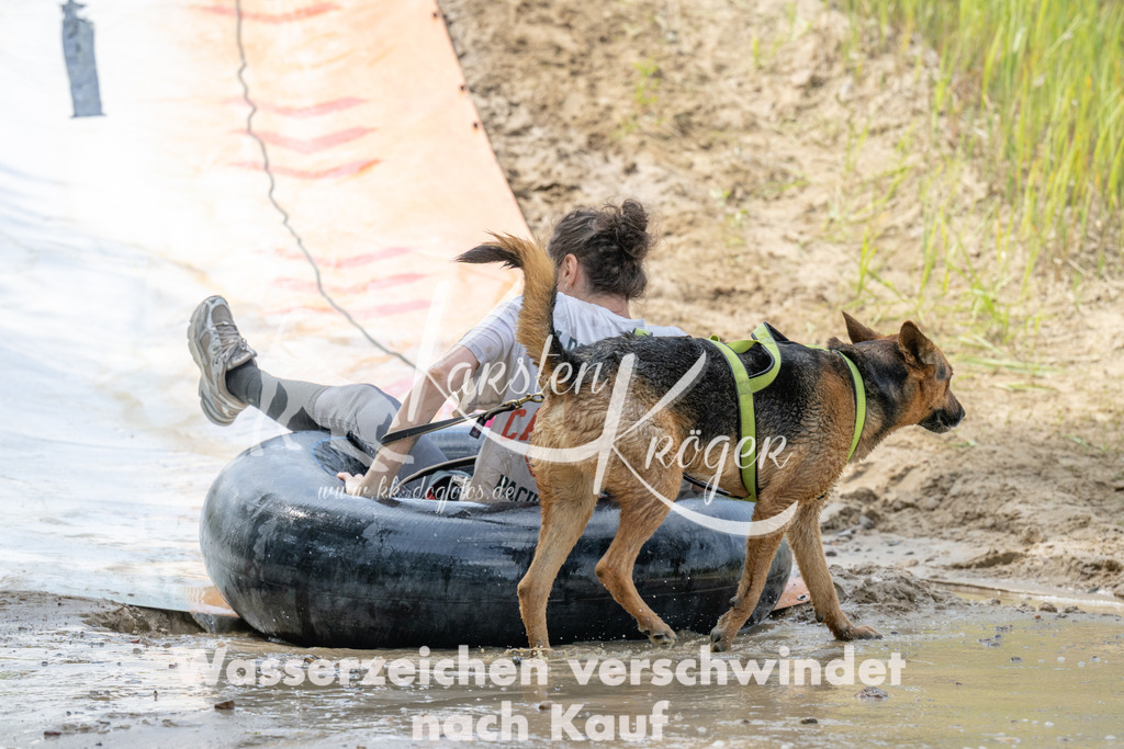 1158_ZZ97031 | kk-dogfotos