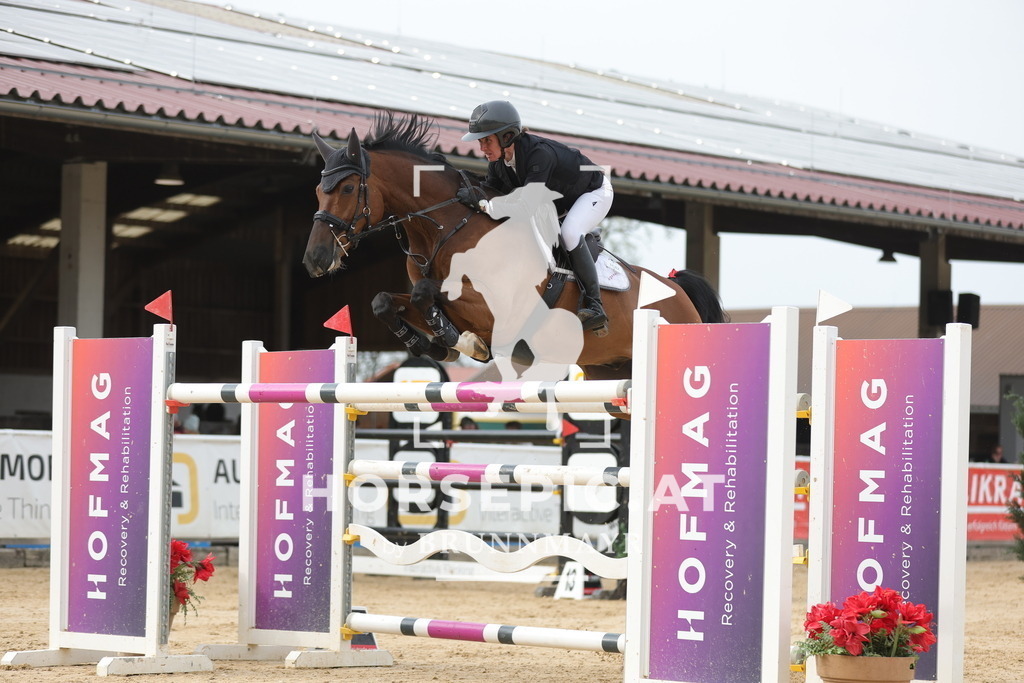 0P6A7514 | Willkommen bei Brunnmayr - Design & Fotografie – Ihrem Spezialisten für Reitturniere und Pferdeveranstaltungen in Oberösterreich, Salzburg und Bayern! Seit über 17 Jahren sind wir leidenschaftlich dabei.