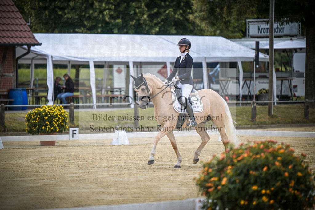 DOS_5166 | Entdecke hochwertige Reitturnierfotos von Foto Oger. Professionell, emotional und authentisch – jetzt Lieblingsmomente im Shop bestellen.Deutschlandweite Turnierfotografie. - Realisiert mit Pictrs.com