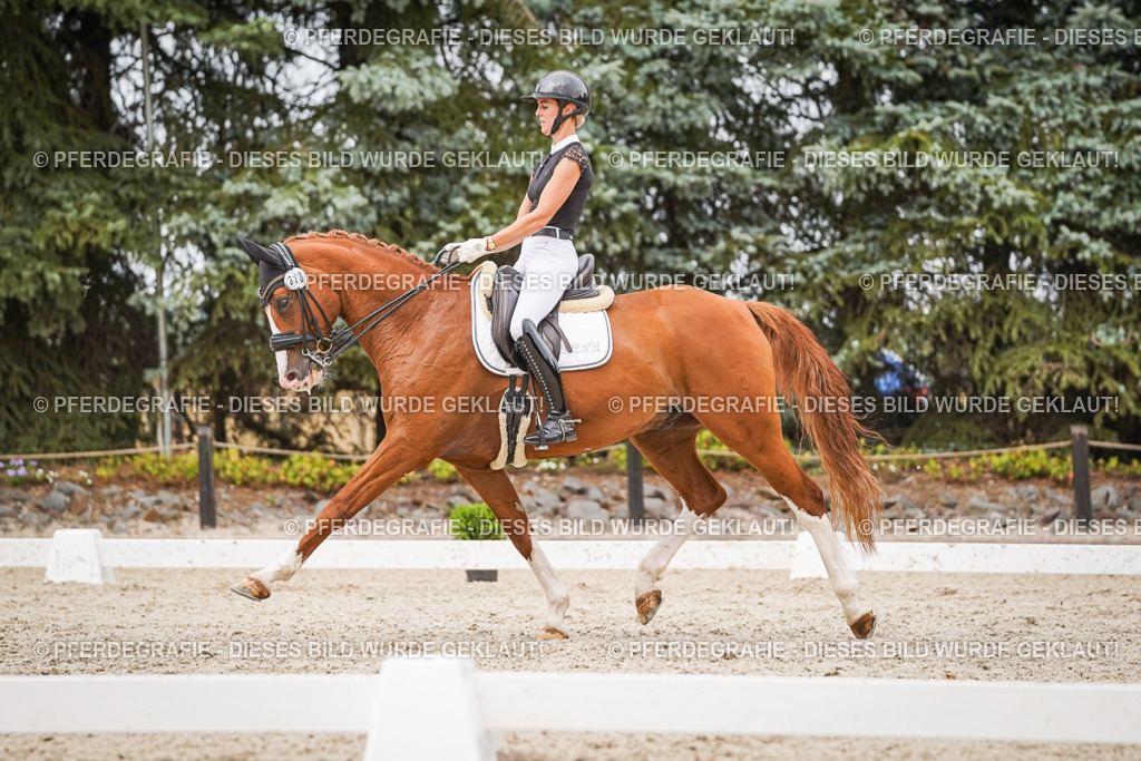 DSC07985 | Pferdegrafie